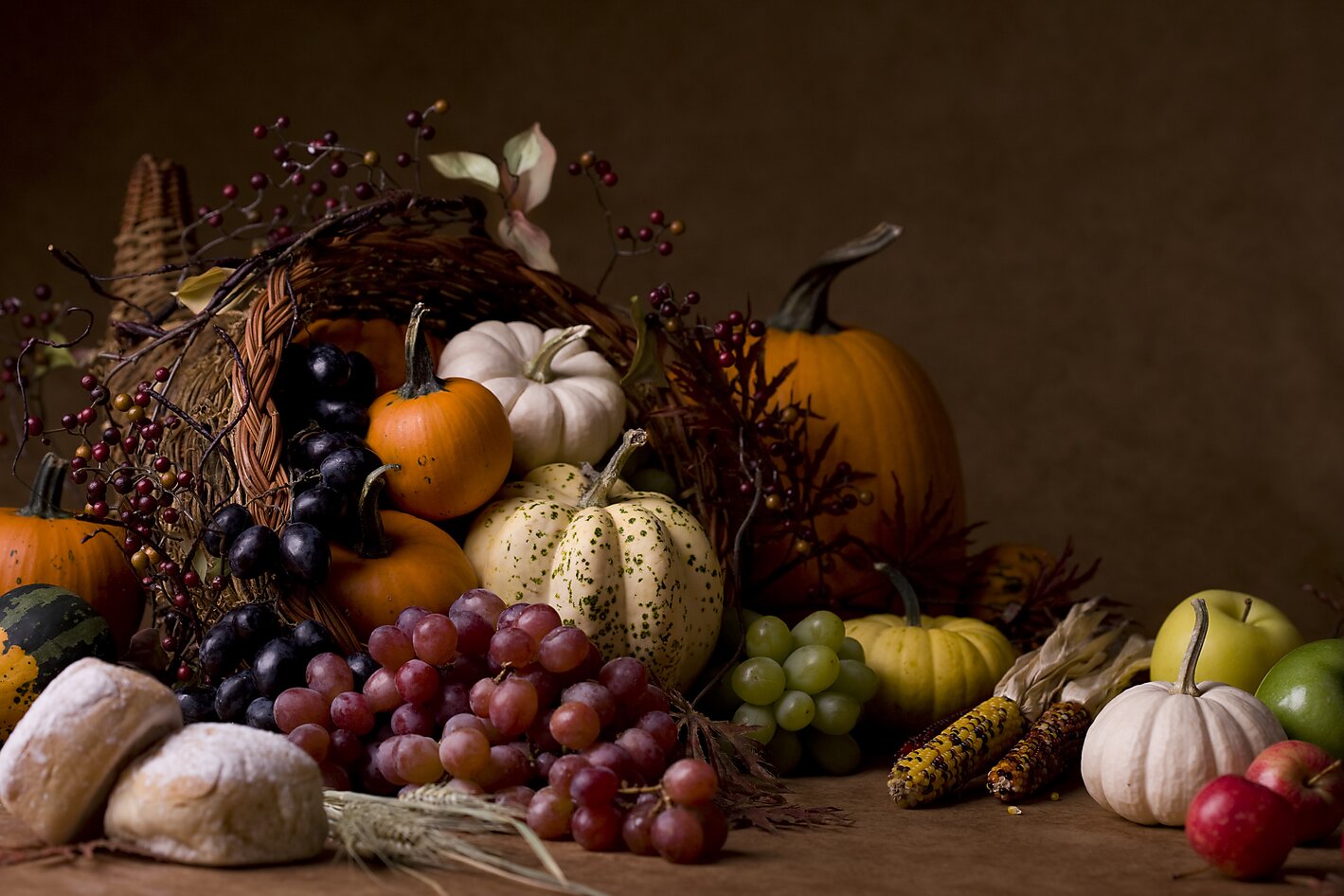 Cornucopia with soft and subtle lighting on a soft golden brown background