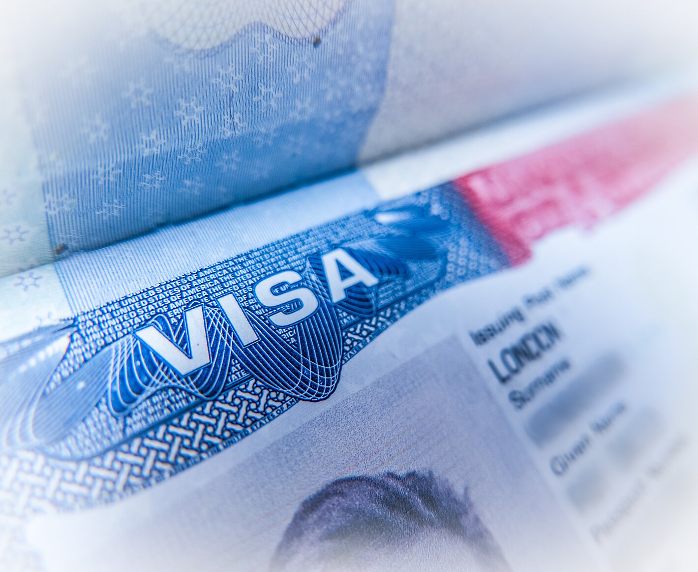 Detail Of A United States Of America Work Visa