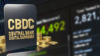 Central Bank Digital Currency