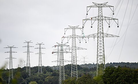 What Would Consumer-Regulated Electricity Look Like?