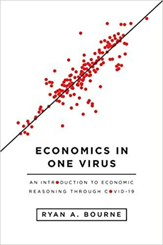 literature review of the economics of covid 19