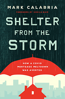 Shelter from the Storm cover