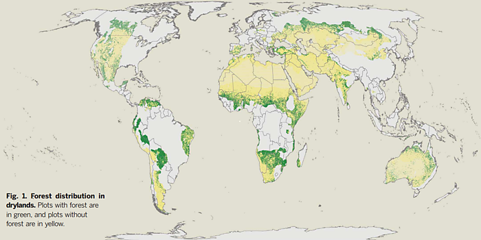 Greener, Not Browner | Cato @ Liberty