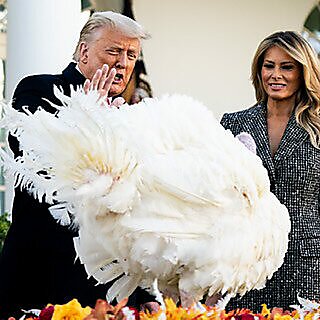 Trump pardoning a turkey