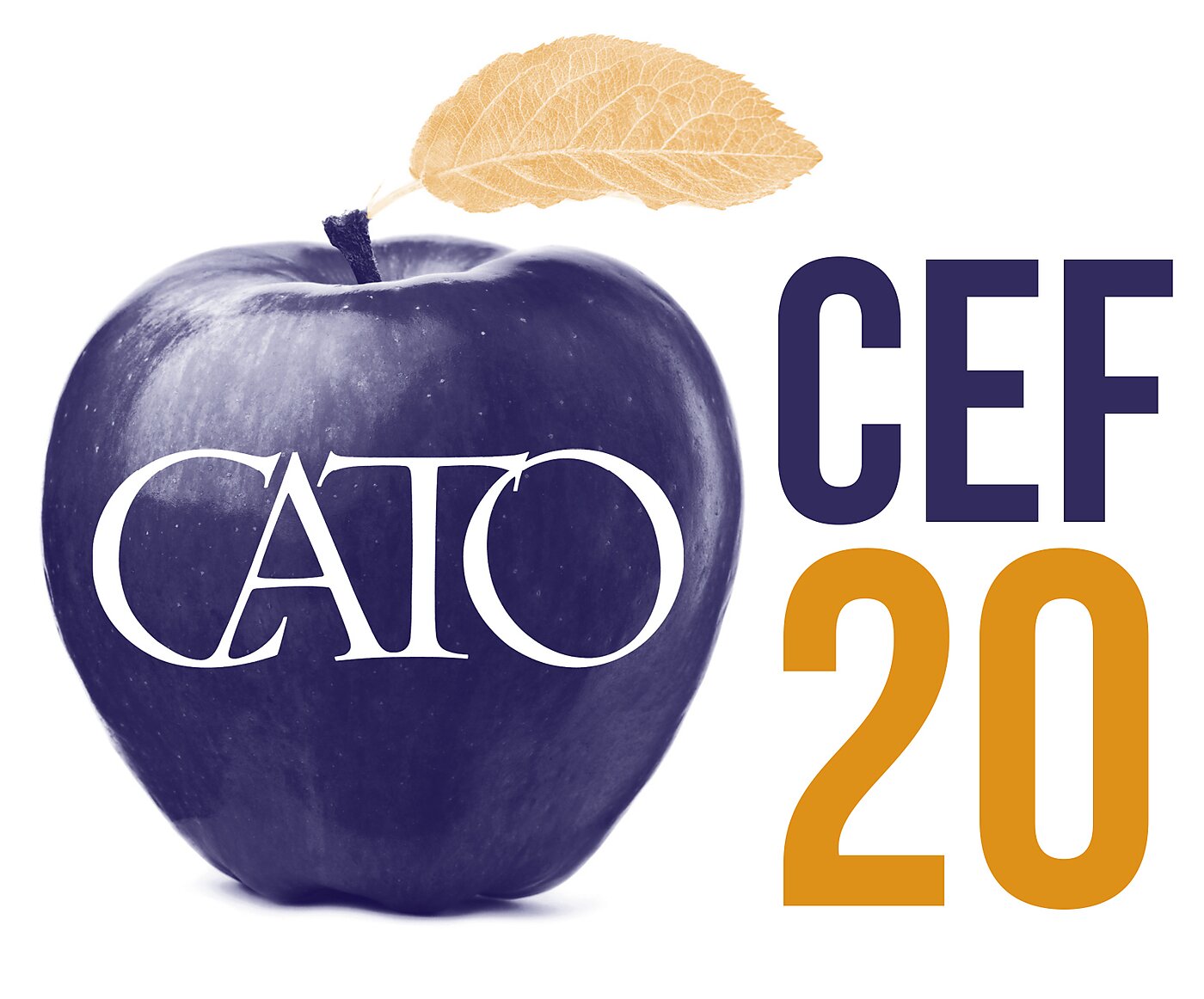 Cato CEF20 logo