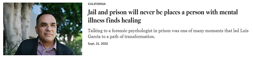 Screenshot of a headline that reads, "Jail and prison will never be places a person with mental illness finds healing."