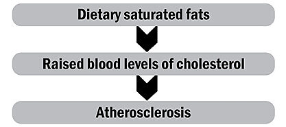 Illustrating Diet Advice Is Hard. Here's How USDA Has Tried To Do It : The  Salt : NPR