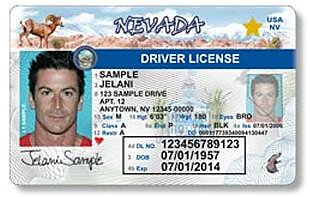 Media Name: Nevada-REAL-ID.jpg