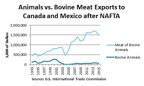 Animals vs. Bovine Meat Exports