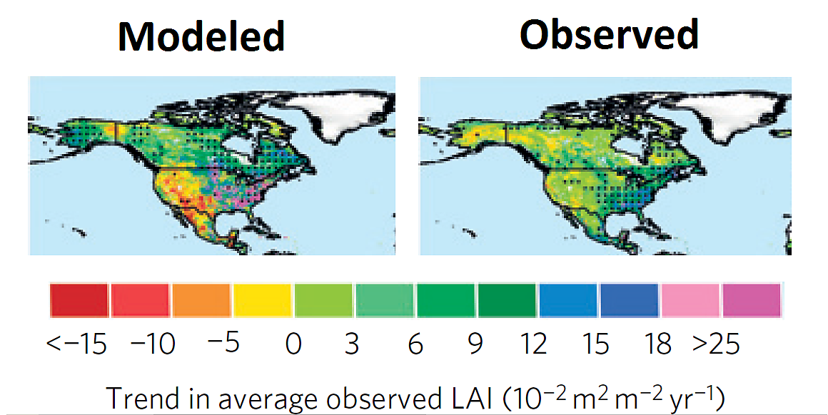 Figure 2. Modeled (left) and observed (right) changes in leaf area index (LAI) for North America, 1982-2009. Source: Zhu et al., 2016.