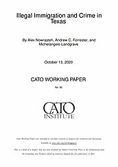 Working Paper 60 cover