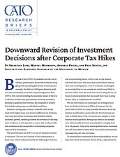 Downward Revision of Investment Decisions after Corporate Tax Hikes - cover