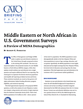 Middle Eastern or North African in U.S. Government Surveys: A Preview of MENA Demographics - cover