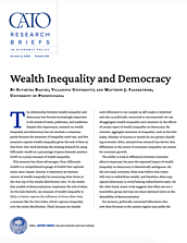 Research Brief - 352 - Wealth Inequality and Democracy cover