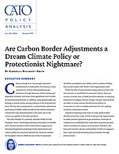 Are Carbon Border Adjustments a Dream Climate Policy or Protectionist Nightmare? pub cover