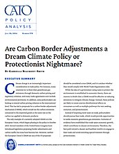 Are Carbon Border Adjustments a Dream Climate Policy or Protectionist ...