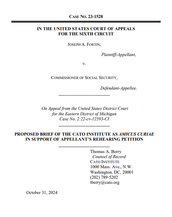 Fortin v. Commissioner of Social Security - pub cover