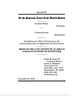 Perez v. United States cover page